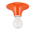 Teti orange Teti orange