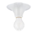 Teti transparent Teti transparent