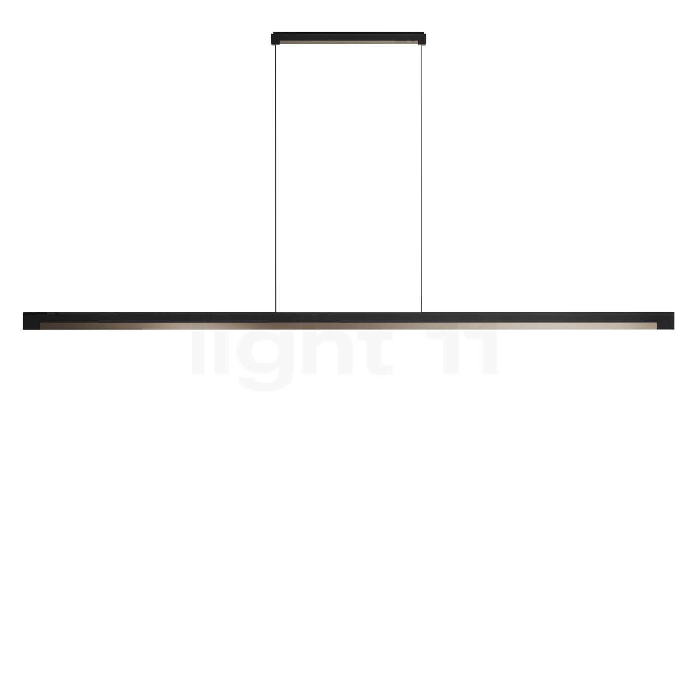 Light Point Inlay Linear Pendelleuchte LED, schwarz/gold - 190 cm 900100