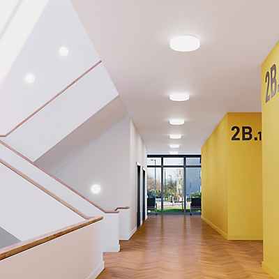 Bega 50032 - Prima Decken-/Wandleuchte LED, Kunststoff - 3.000 K 50032PK3