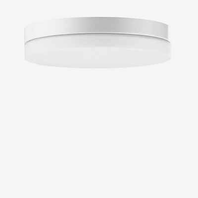 Bega 50649 Decken-/Wandleuchte LED, weiß günstig online kaufen