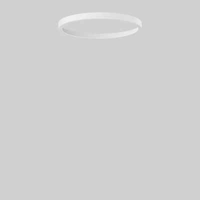 Bega Farbring zu Prima Deckenleuchte 13001/13002/13003, palladium