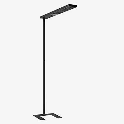 Grau Xt-a Plus Stehleuchte LED, schwarz/schwarz - 98 cm günstig online kaufen