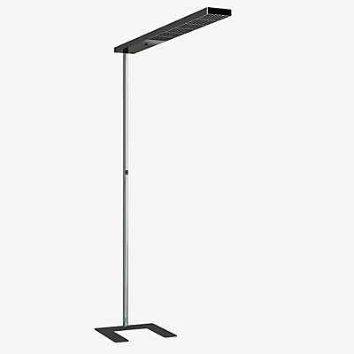 Grau Xt-a Plus Stehleuchte LED, titan/schwarz - 125 cm günstig online kaufen