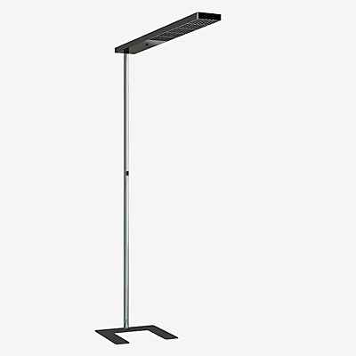 Grau Xt-a Plus Stehleuchte LED, titan/schwarz - 98 cm günstig online kaufen