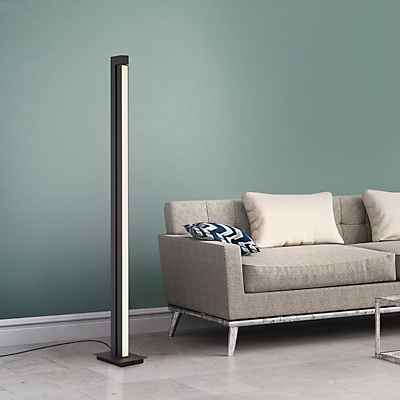 Neuhaus PURE® by Paul Neuhaus Lines Stehleuchte LED, anthrazit