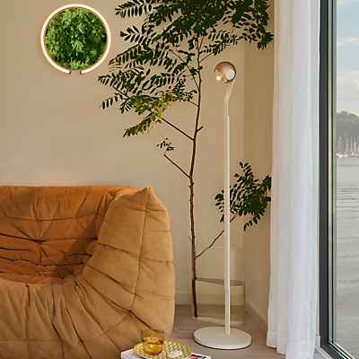 Occhio Io Lettura C Stehleuchte LED, Kopf gold matt/Abdeckung weiß matt/Body weiß matt/Fuß weiß matt - 3.000 K