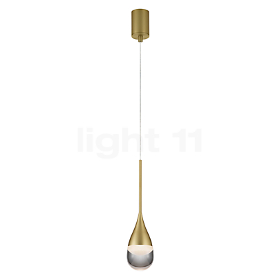 Helestra Deep Pendant Light LED 1 lamp gold matt Product picture