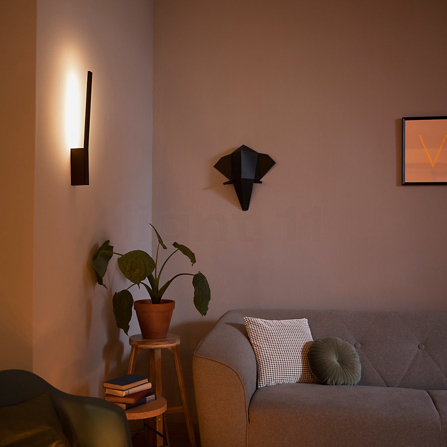 Philips Hue Ambiente Application picture