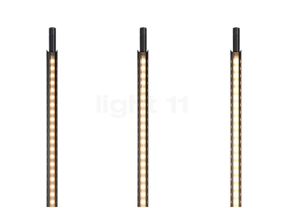 Luceplan Compendium Terra LED brass - 3,000 K - The perpendicular LED module directs bright lighting towards the wall and may be controlled via the integrated dimmer.