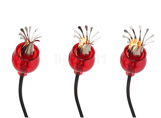Serien Lighting Poppy Wall 5 bras rouge/noir - Les pétales des fleurs de pavot servirent de modèle pour créer le design de ce luminaire.