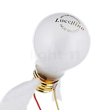 Ingo Maurer Lucellino Tavolo wit - De lampbron van de Lucellino is een extra door Ingo Maurer ontwikkelde speciaallamp.