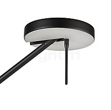 LEDS C4 Invisible Steh-/ Leseleuchte schwarz , Auslaufartikel - Polymethylmethacrylat an der Schirmunterseite verleiht dem Licht eine behagliche Wirkung.
