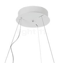 Martinelli Luce Lunaop Sospensione LED weiß, ø80 cm, 2.700 K, dimmbar