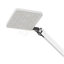 Nimbus Roxxane Home Leseleuchte weiß matt - Über jeder LED befindet sich eine Kegelsenkung im Polycarbonatdiffusor, der das Licht präzise nach unten leitet