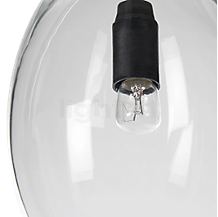 Northern Unika Pendant light transparent - large - The Unika is operated using classic incandescent lamps with an E14 base.