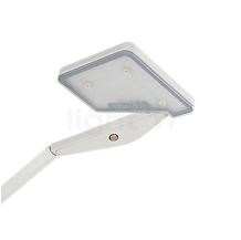 Panzeri Jackie Lampe de table LED blanc - La tête de lampe peut être positionnée de manière souple en fonction des besoins.