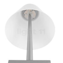 Rotaliana Dina+ LED argento, incl. 2 paralumi - Un potente modulo LED si nasconde nella parte superiore del paralume.