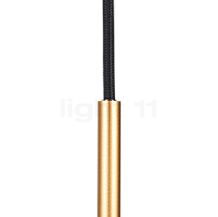 Umage Asteria, lámpara de suspensión LED gris pardo - Cover latón & negro - Edición especial - La delgada suspensión está decorada con un detalle dorado.