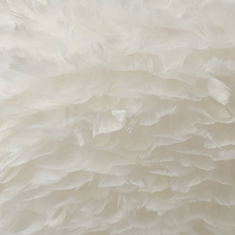 Umage Eos Suspension abat-jour blanc/câble blanc - ø65 cm - Ce sont de véritables plumes d'oie qui donnent à l'Eos sa touche toute naturelle.