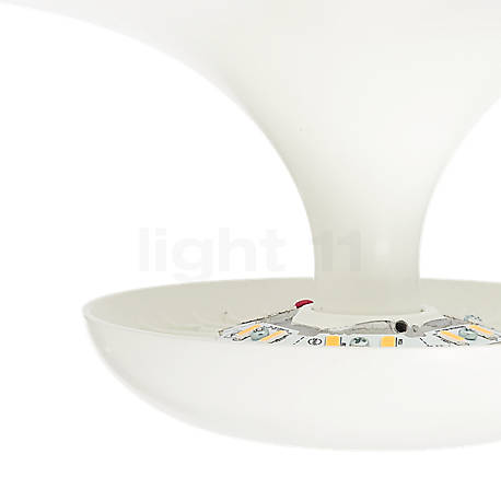 Vibia Funnel Ceiling Light LED gold - 2,700 K - Dali - 1-10 V - Push - The LED module is discreetly embedded.
