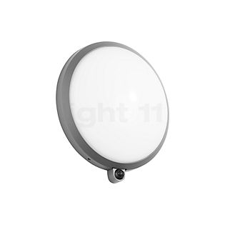 24194 - Applique LED argenté - 24194AK3