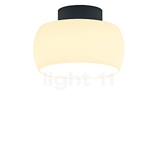 Bankamp Bell Lampada da soffitto LED antracite opaco