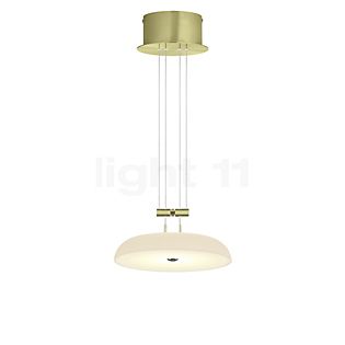 Bankamp Bowl Pendant Light LED brass matt