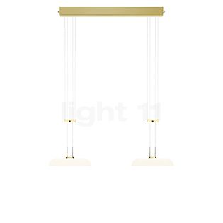 Bankamp Bowl Suspension LED 2 foyers laiton mat