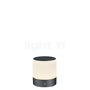 Bankamp Button Lampe de table LED anthracite mat - 18,5 cm