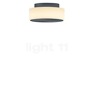 Bankamp Button Wall/Ceiling Light LED anthracite matt - ø15,5 cm , Warehouse sale, as new, original packaging