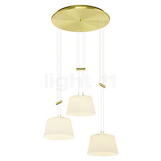 Bankamp Conus Cluster Pendant Light LED 3 lamps brass matt