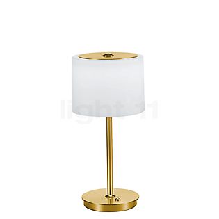 Bankamp Grazia Table Lamp LED brass matt