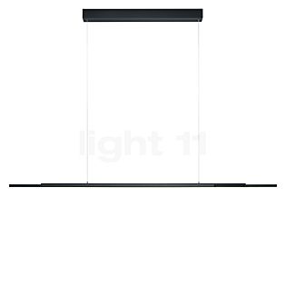 Bankamp Lightline 3 Flex Pendel LED Up & Downlight antrazit mat