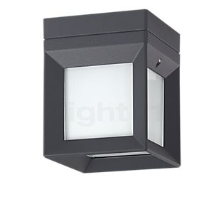 Bega 22453 - Ceiling-/Wall- and Pedestal Light LED graphite - 22453K3 , Warehouse sale, as new, original packaging