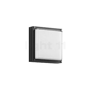 Bega 22663 - wall-/ceiling light LED graphite - 22663K3