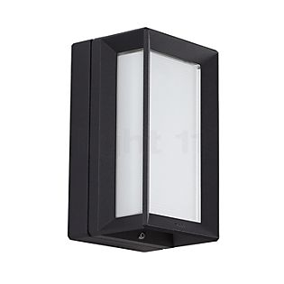 Bega 22733 - Wall and Ceiling Light graphite - 22733K3