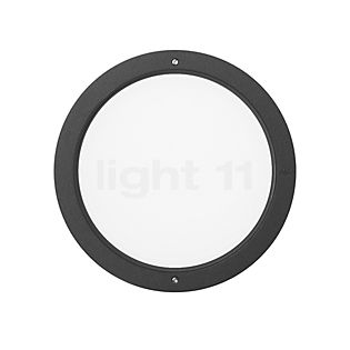 Bega 24017 - Recessed Wall Light LED graphite - 24017K3