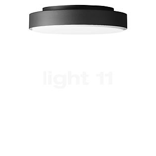 Bega 24042 - Wall/Ceiling Light LED graphite - 24042K3