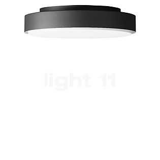 Bega 24043 - Wand-/Plafondlamp LED grafiet - 24043K3