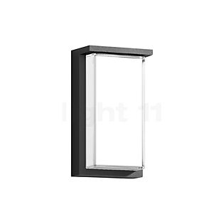 Bega 24336 - Wall Light LED graphite - 24336K3