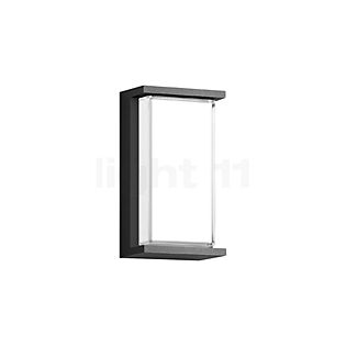 Bega 24341 - Lampada da parete LED grafite - 24341K3