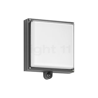 Bega 24396 - Wand-/Plafondlamp LED grafiet - 24396K3