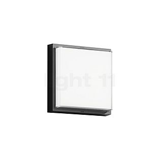 Bega 24770 - Ceiling-/Wall Light LED graphite - 24770K3