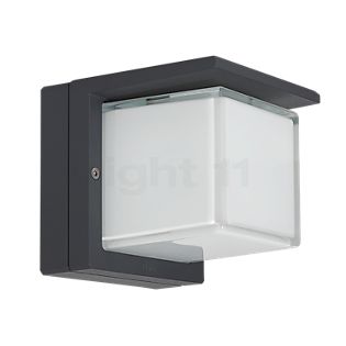 Bega 33328 - Parete-, e Luce del piedistallo LED grafite - 33328K3