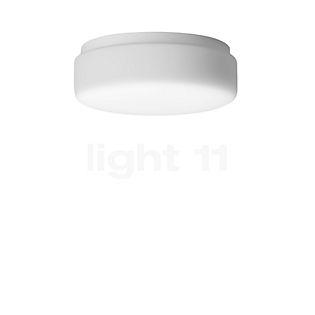 Bega 50029 - Prima Ceiling-/Wall Light LED glass - 3,000 K - 50029K3