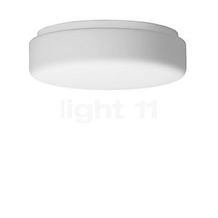 Bega 50036 - Ceiling-/Wall Light LED plastic - 2,700 K - 50036PK27