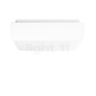 Bega 50303 - Lampada da soffitto/parete LED plastica - 3.000 K - 50303PK3