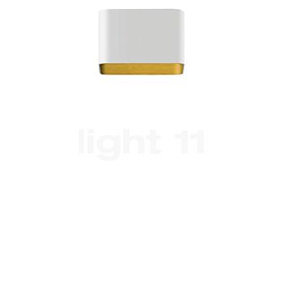 Bega 50372 - Studio Line Deckeneinbauleuchte LED weiß/Messing - 50372.4K3