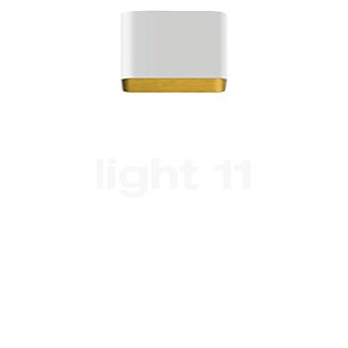 Bega 50373 - Studio Line Plafonnier encastré LED blanc/laiton - 50373.4K3